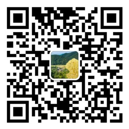 乐发网投平台